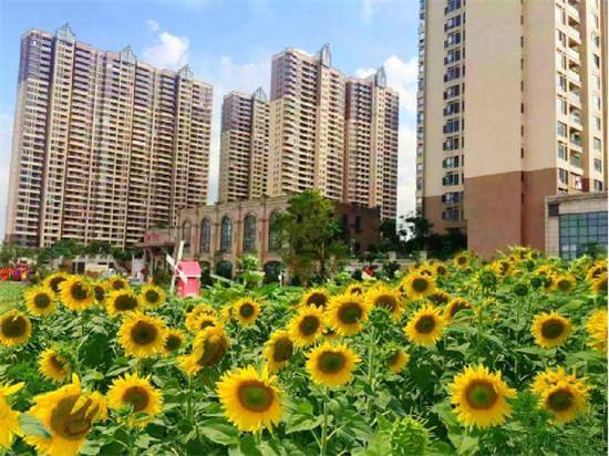 湛江公園一號(hào)